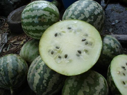 小黄贝瓜怎么吃,小黄贝瓜的多样食法探索